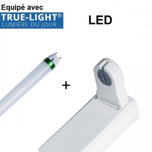 Réglette LED T8 simple équipée avec un tube LED TRUE-LIGHT 5500K IRC98